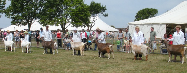 Norfolk Show 2010