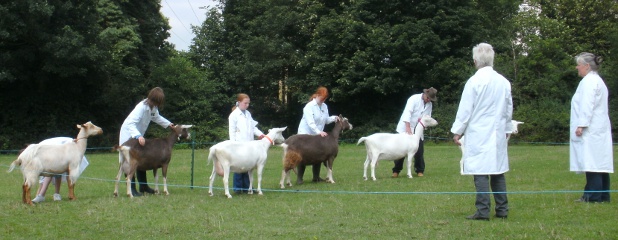August Show 2010